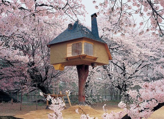 Tetsu Teahouse- Hokuto, Japan