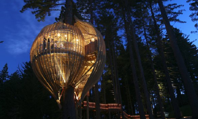 The Redwoods Treehouse- Auckland, New Zealand