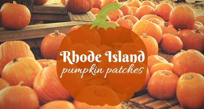 Where in RI: Best Places to Get Pumpkins | WPRO-FM